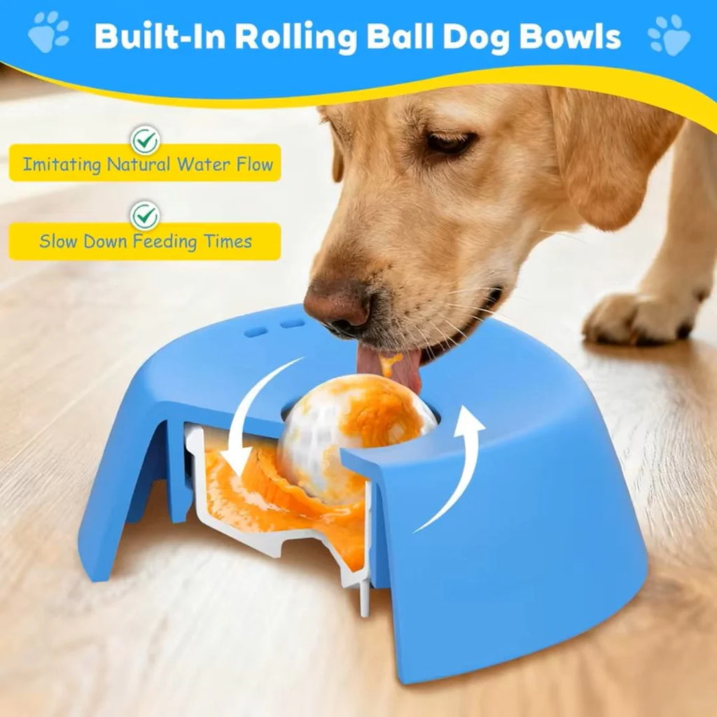 Snackspin Snackspin